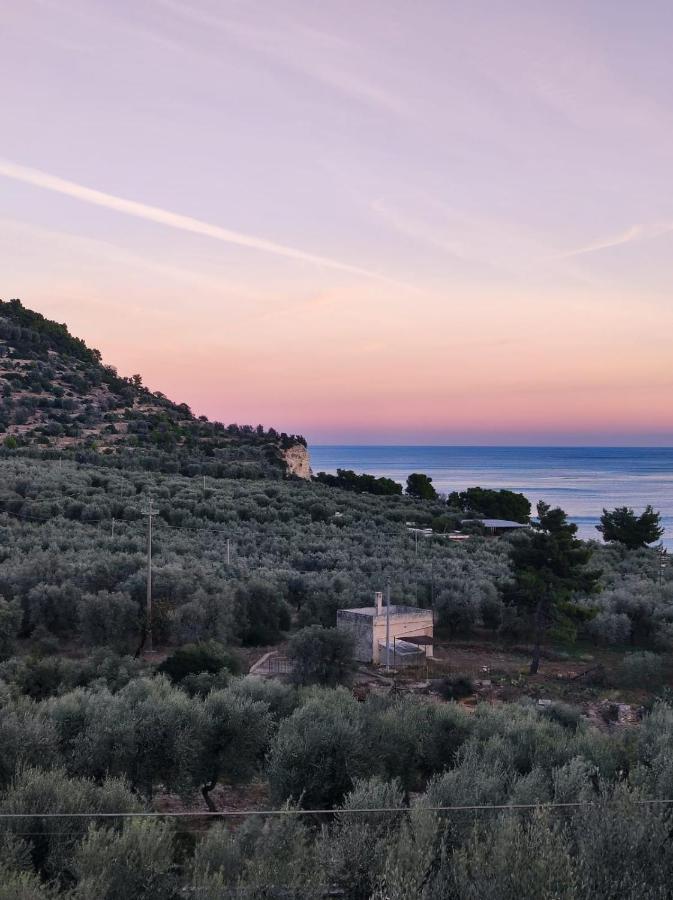 Dimora Mediterranea Mattinata Εξωτερικό φωτογραφία