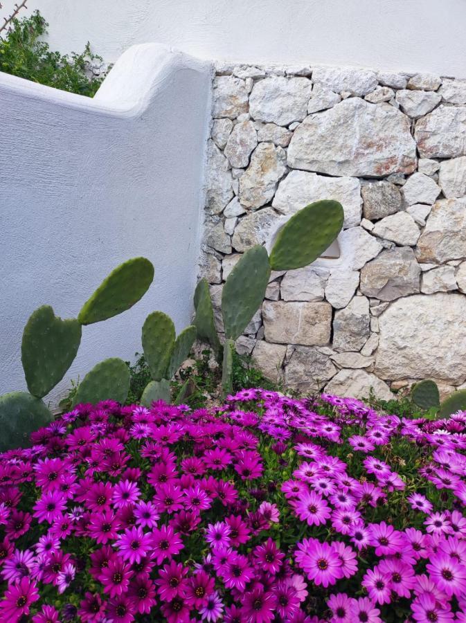 Dimora Mediterranea Mattinata Εξωτερικό φωτογραφία