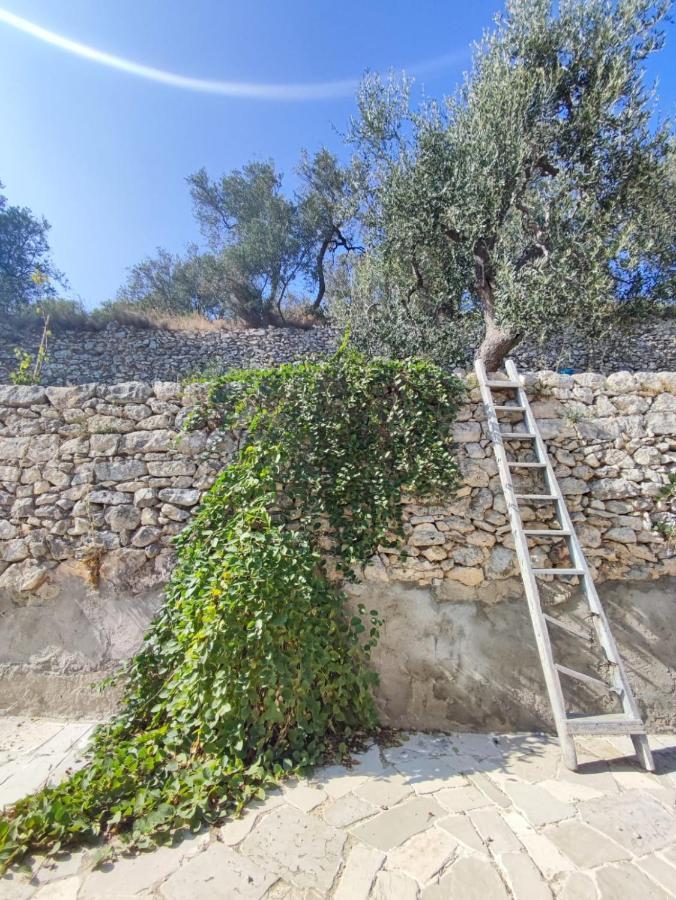 Dimora Mediterranea Mattinata Εξωτερικό φωτογραφία