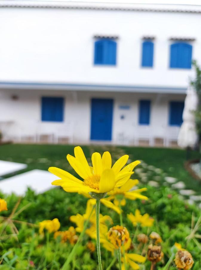 Dimora Mediterranea Mattinata Εξωτερικό φωτογραφία